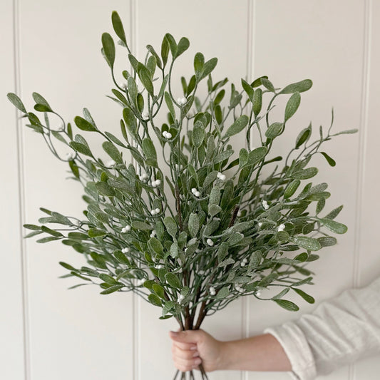 Frosted Mistletoe Spray