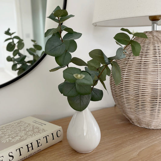 Eucalyptus in White Ceramic Vase